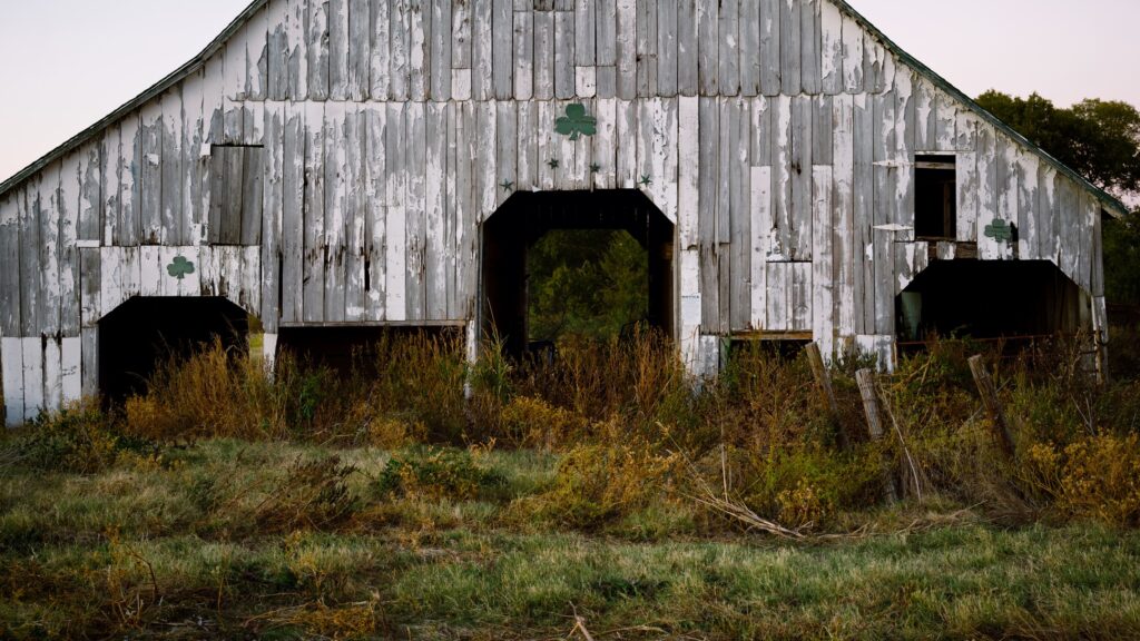 Barn Shot