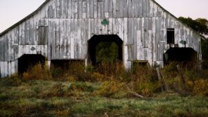 Barn Shot