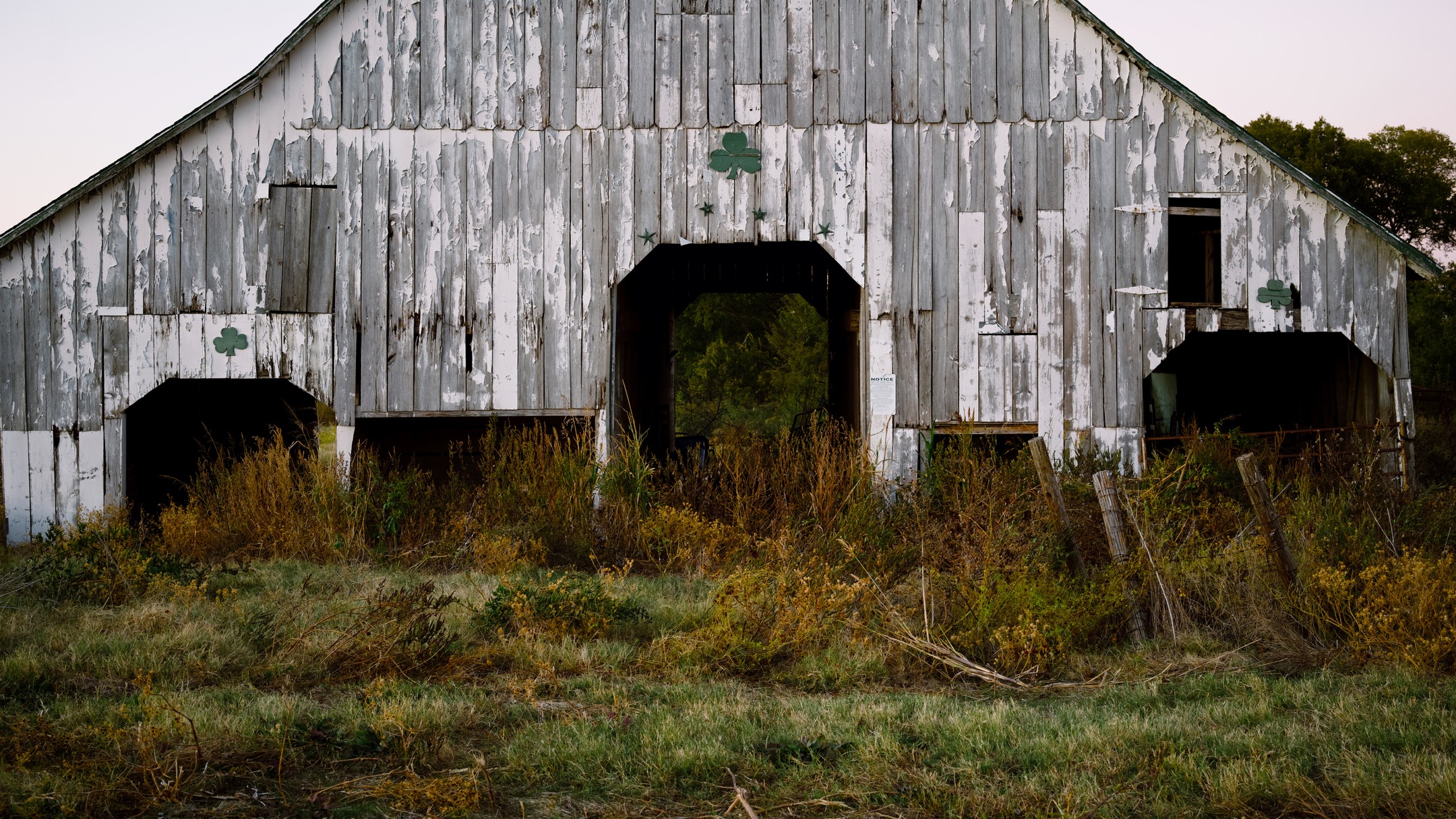Barn Shot