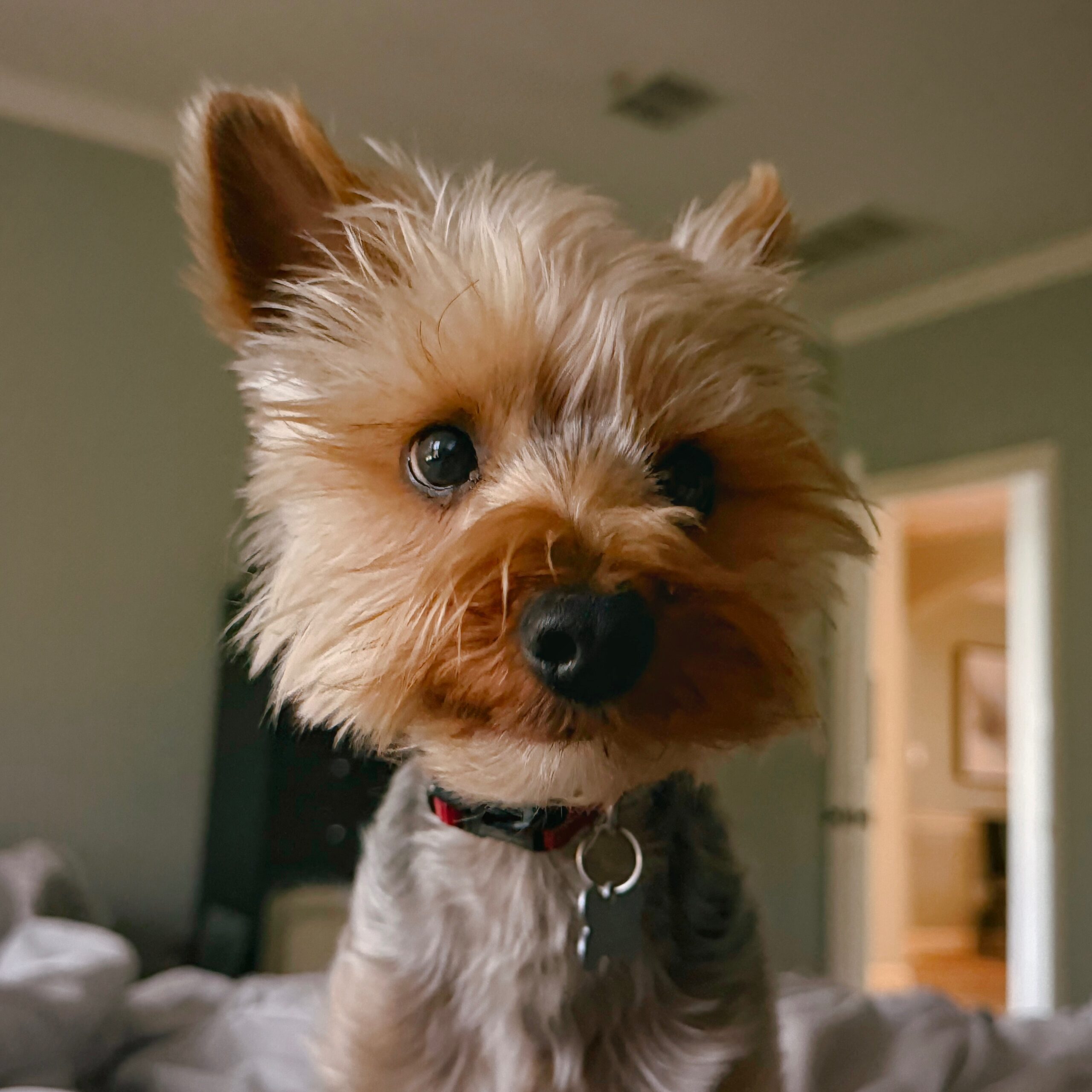 OMG! GET UP ALREADY!