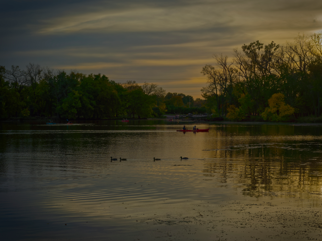 Calm lake at early sunset with a person in a red canoe in the distance and single duck in the foreground.