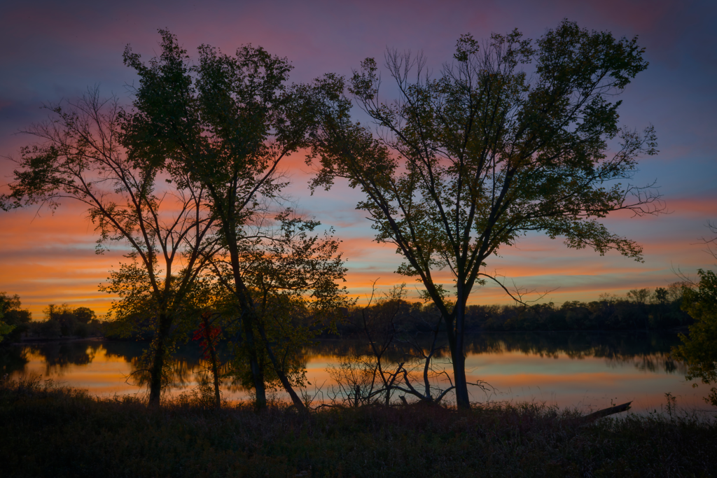 Two trees standing in the foreground with a lake in the background and a sunset sky of yellow, orange and purple. There is one small tree between them and is the only one with red leaves that are visible in the last light of the day.